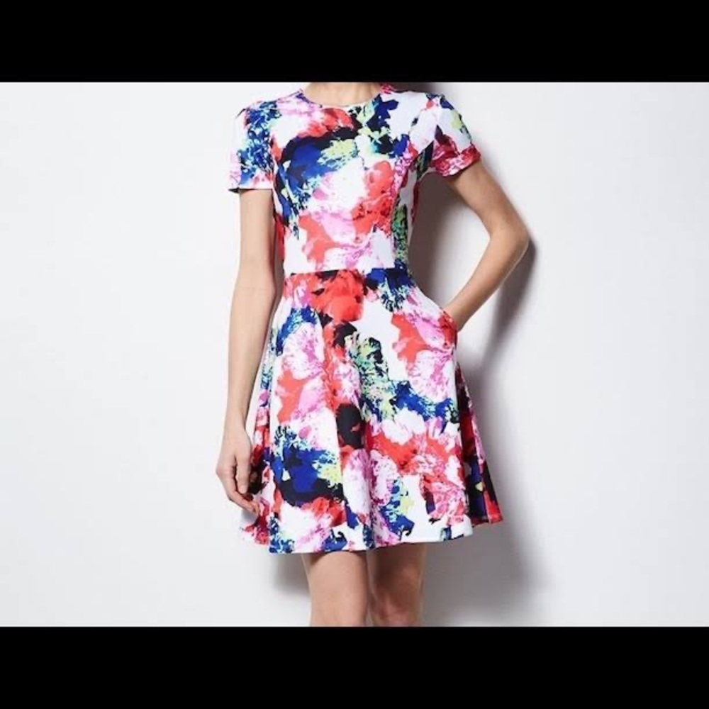 Milly for Design Floral A-Line dress. So 12